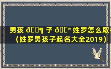 男孩 🐶 子 💮 姓罗怎么取名（姓罗男孩子起名大全2019）